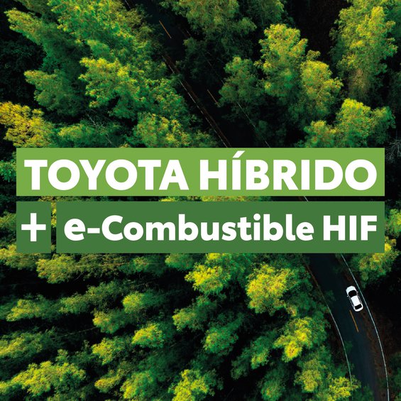 zigzag2_Mesa de trabajo 1 copia 2